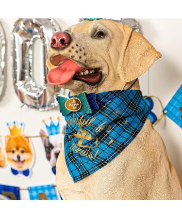 Dog Birthday Party Supplies - Hat, Bandana, Bowtie, Cake Topper, Balloon, Flag, Banner for Small Medium Dogs - Blue Doggie Birthday Decor - Buy Online on GoSupps.com