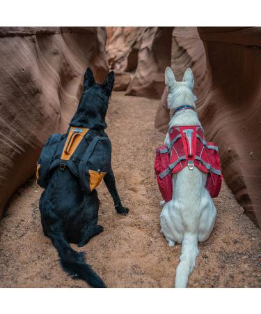 Kurgo Hundesack Baxter - Dog Saddle Bag with 2 Side Pockets for Hiking (23-50 kg) | Black/Orange Bax Baxter Dog Gear - Buy Online on GoSupps.com