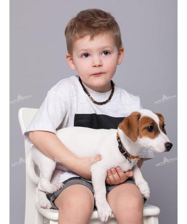 Amber Dog Necklace with Leather Strap | Baltic Amber Tick & Flea Protection for Dogs & Cats - 36 cm - Buy Online on GoSupps.com