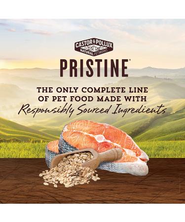 Pristine Wild-Caught Salmon & Oatmeal Dog Food with Raw Bites - 4 lb | Healthy Grains - Buy Online on GoSupps.com