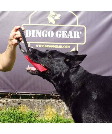 Dingo Gear Cotton Nylon Bite Sausage - Dog Training IGP IPO Obedience Protection - 15x5 cm Blue Handle (S00060) - Buy Online on GoSupps.com