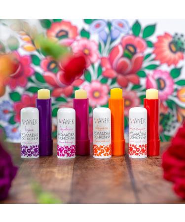 VIANEK Regenerating Lip Balm - Natural Cosmetics for Men & Women | 4.6g | International Shipping - Buy Online on GoSupps.com
