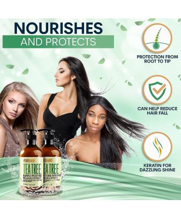 Tea Tree Shampoo & Conditioner Set - Sulfate Free, Anti-Dandruff Scalp Treatment for Dry, Flaky Skin - Men and Women - Buy Online on GoSupps.com
