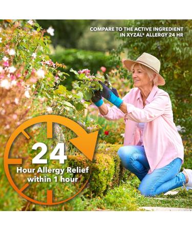 Camber Consumer Care Levocetirizine Dihydrochloride 5mg Antihistamine Tablets Generic Xyzal Allergy 24 Hour Allergy Relief Medicine (35 Count) - Buy Online on GoSupps.com