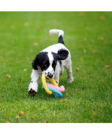 Petface Little Dog Toy with Rope Hearts | Durable Chew Toy for Small Dogs | Shop Internationally - Buy Online on GoSupps.com