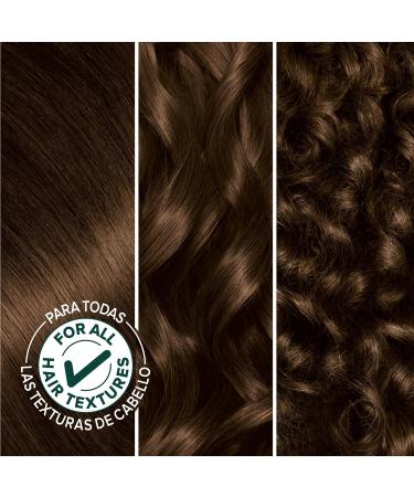 Garnier Nutrisse 33 Darkest Golden Brown Hair Color - Nourishing Creme Dye - Buy Online on GoSupps.com