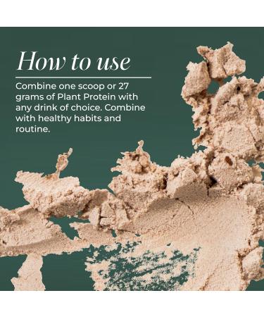 Primal Harvest Vegan Protein Powder for Nutritional Weight Support 20g Plant-Based Protein Per Serving from Fava Beans Chickpeas & Rice Chocolate Flavor 405g Gluten-Free Soy-Free No Added Sugar Chocolate 14.29 Ounce (Pack o  - Buy Online on GoSupps.com