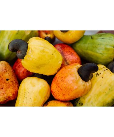 Organic Fairtrade Cashew Nuts with Garlic & Pepper (500g) | Roasted in Freiburg | Premium Fair Trade Cashews from Burkina Faso - Shop Now! - Buy Online on GoSupps.com