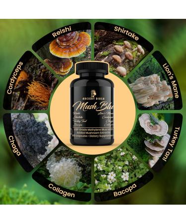 ANCIENT DIOSA - Methylene Blue USP Pharmaceutical Grade 60 Capsules, 60-Day Supply with Rich Blend of Mushrooms Extracts - Immune System Support, Cognitive Function, Improve Memory and Mental Focus - Buy Online on GoSupps.com