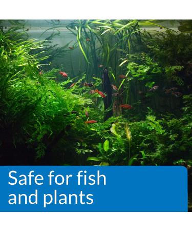 API pH Down | Freshwater Aquarium Water pH Adjuster - 16 oz | Maintain Optimal pH for Fish Health | Test Weekly & Correct pH Levels - Buy Online on GoSupps.com