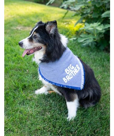 Blue Big Brother Dog Bandana for Pregnancy Announcement - Pet Photo Prop & Handkerchief for Medium to Large Dogs - Buy Online on GoSupps.com