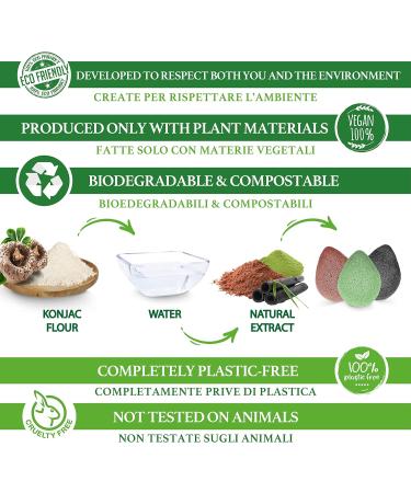 Sinutan Konjac Sponge Set | 100% Natural Bamboo Activated Carbon & Green Tea | Detox Facial Cleaning Sponges | Eco-Friendly Gift Idea - Buy Online on GoSupps.com