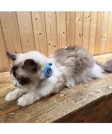 Hepplly Reflecting Airtag Cat Neck Band with Bell & Holder - Safe & Stylish Kitten Collar (Hellblau) | International Shipping Available - Buy Online on GoSupps.com