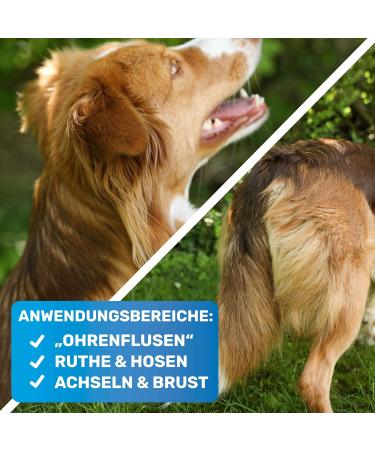 Buy Bluepet PROFI Deforming Camm for Dogs & Cats | Premium Knot & Matter Removal Tool | International Shipping - Buy Online on GoSupps.com