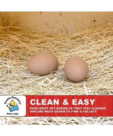 Cackle Hatchery Laying Hen Nest Box Pads - 13x13 (6 Pack) | Premium Quality - Buy Online on GoSupps.com