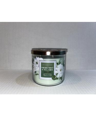 Fresh Mint & Tea Tree 3 Wick Candle 14.5 oz / 411 g Made with Natural Essential Oil