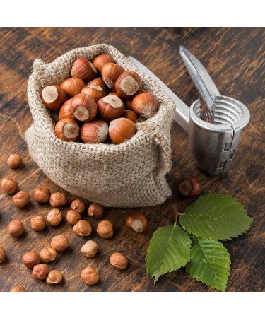 NATURAL FOOD Savoureuses Noisettes En Coque - V g talien Naturel Non Trait Haute Qualit - Riche En Acides Gras Essentiels - pour les Desserts au Muesli ou Dans les Salades - Grand Emballage 10 kg Noisettes 10 kg - Buy Online on GoSupps.com