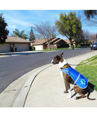 Safetypup XD Reflective Dog Vest - XL Blue for Maximum Visibility & Safety | Perfect for Leash & Off-Leash Use - Buy Online on GoSupps.com