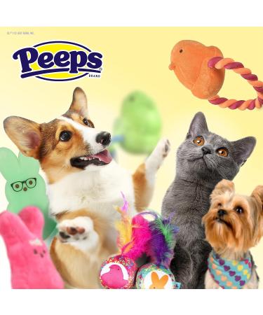 Peeps for Pets Call My Dog T Shirt - Teal Blue Soft & Comfortable Pet Clothing FF16041 - Medium - Buy Online on GoSupps.com