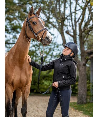 LeMieux Leather Trot Up Chain for Horses in Brown - Detachable - Easy to Use Trigger Clip - One Size - Buy Online on GoSupps.com