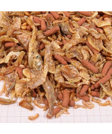 JBL Proterra CRUSTARUS 2 5l - Buy Online on GoSupps.com