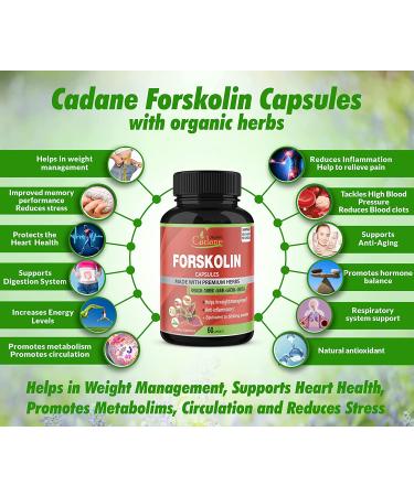 Organic Forskolin Extract 5000MG Capsules with Turmeric, Arjuna, Garcinia Cambogia & Green Tea - Maximum Strength India Supplements for Nourishing Diet & Energy Boost - Buy Online on GoSupps.com