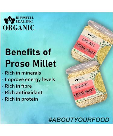 Blessfull Healing Organice PROSO Millet 1 lb (453 Gram) - Buy Online on GoSupps.com