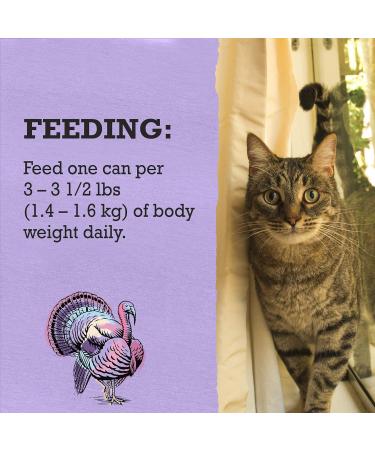Beyond Wet Cat Food Cage-Free Turkey Sweet Potato & Spinach in Gravy - 85 g Can (12 Pack) - Buy Online on GoSupps.com