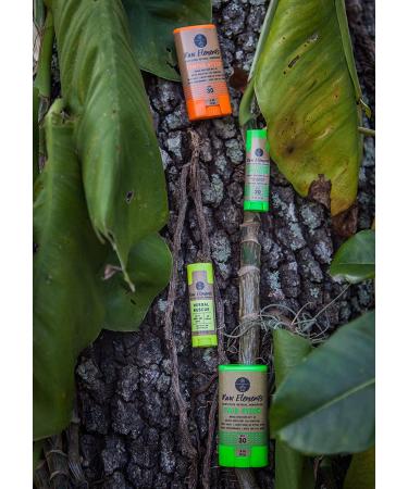 Raw Elements Organic Lip Rescue SPF 30+ 0.15oz (3-Pack) - Natural Zinc Oxide Lip Balm - Buy Online on GoSupps.com