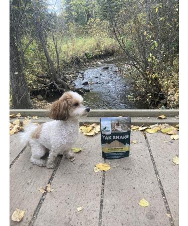 Yak Cheese Dog Chews All-Natural Chews for Dogs. Long Lasting Yak Milk Dog Chews for Aggressive Chewers for Teething Puppies & Bored Dogs (Small 6 Pack) 6 count (Pack of 1) Small - Buy Online on GoSupps.com