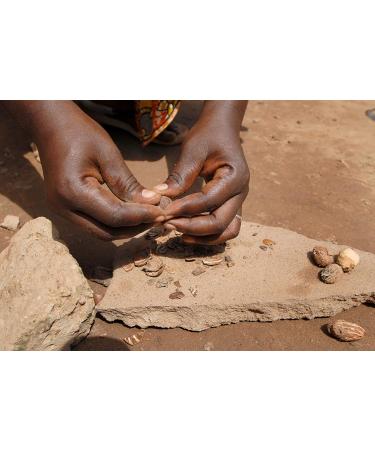 Butterwise Unaffected Shea Butter 125g Organic & Fair Trade - No. 1 Natural Cosmetics for Dry Skin - Cold-Pressed Vegan from Ghana - Shop Fairtrade Africa - Buy Online on GoSupps.com