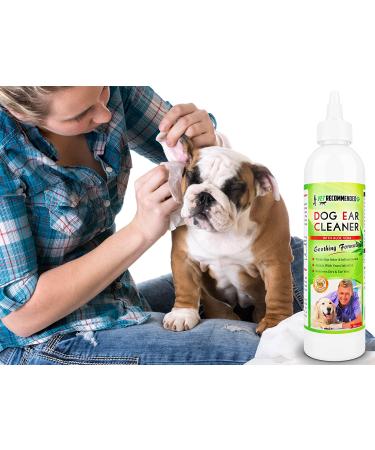 Vet Recommended Dog Ear Cleanser with Aloe Vera (8oz) - Made in USA | Effective Cleaner for Yeast Infection - Buy Online on GoSupps.com