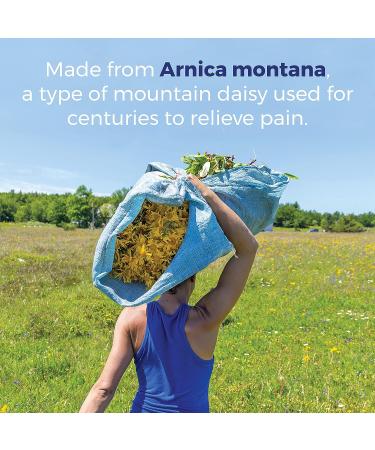 Boiron Arnicare Ointment - Soothing Relief for Joint & Muscle Pain, Swelling, Bruises - Non-Greasy & Fragrance-Free - 1 oz - Buy Online on GoSupps.com