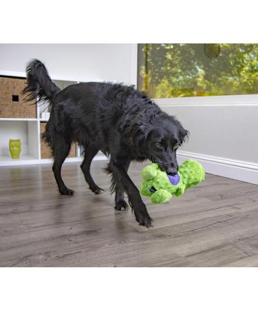 goDog Dinos T-Rex Squeaky Plush Dog Toy Chew Guard Technology - Green Large Large Dinos - T-Rex (Green) - Buy Online on GoSupps.com