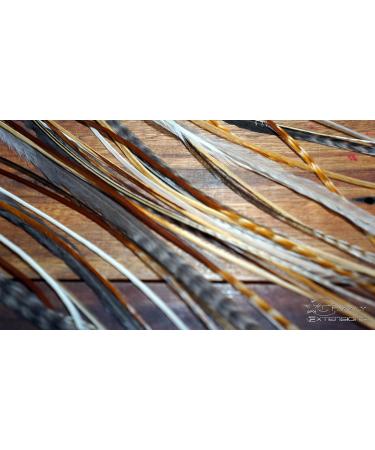 5 Natural Tone Feather Extensions + 1 Light Grey Wide Extension - International Shipping Available - Buy Online on GoSupps.com