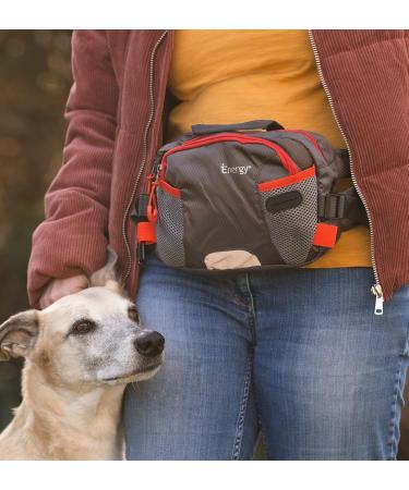 IENERGY PAT Belt Bag for Dog Owners - Weatherproof Hip Pocket & Belly Pocket for Dog Training Treats (Green) - Buy Online on GoSupps.com