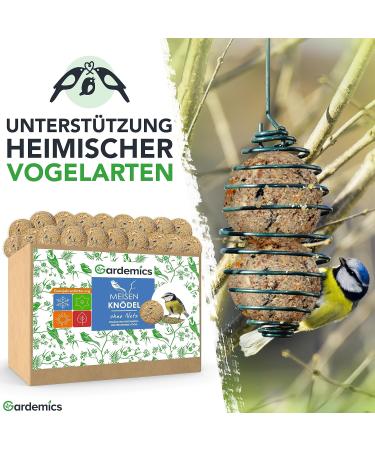Gardemics Meisenkn del for Wild Birds | 100 Premium Bird Dumplings | 9 kg All-Year Feed for Garden Biodiversity - Buy Online on GoSupps.com