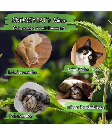 SNOOZYCAT Catnip for Cat Pillow to Fill 30g Loose Mint Natural Cut Scent - Buy Online on GoSupps.com