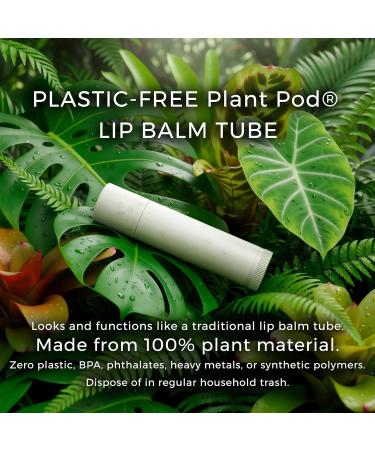 Novana Naturals Organic Nourishing Lip Balm 100% Natural-Origin with Mango Butter Long-Lasting Hydration Non-Waxy Plastic-Free Plant-Based Tube (4 Pack) - Peppermint - Buy Online on GoSupps.com