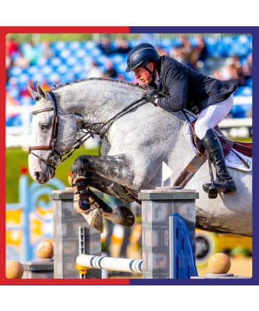 Equine America Cortaflex HA Super Fenn Super Strong Powder | Premium Ready for Use of Horse & Pony Supplement | Supports Optimal Joint Mobility and Recovery | 500g - Buy Online on GoSupps.com