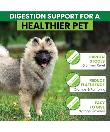 Tummy Relief for Dogs - Fast-Acting Diarrhea Treatment & Stomach Settler - Gut Health Supplement - Liquid Medicine for Upset Stomach - 250ml - Buy Online on GoSupps.com