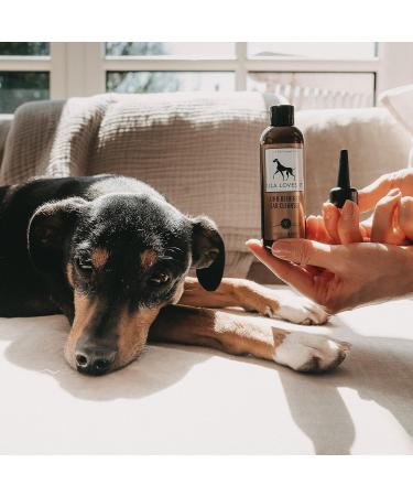 Buy Lila Loves IT Dog Ear Cleaner | Vegan Microsilver & Zinc | 100ml - Relieves Itching & Cleans Ears - Buy Online on GoSupps.com