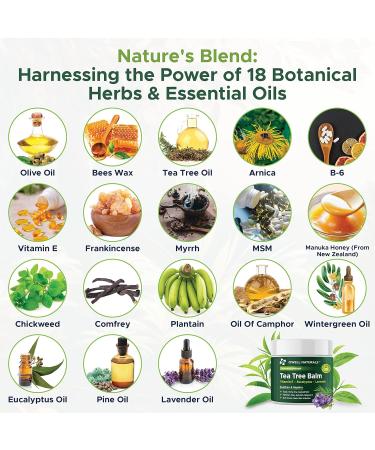 OWELL NATURALS Tea Tree Balm Oil 2oz - Soothes Acne Itchy Skin & Rashes - Vitamin E Paraben-Free Multi-Use for Insect Bites & Burns - Buy Online on GoSupps.com