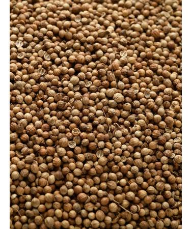 Biojoy Coriander seeds BIO (500g) whole and without additives - Buy Online on GoSupps.com
