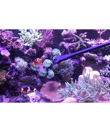 AquaticHI 27 inch Aquarium Tongs - 100% Reef Safe | Multi Purpose Fresh and Saltwater Fish Tank Tool for Clip Plants, Spot Feed Fish and Coral | Keep Hands Dry - Buy Online on GoSupps.com