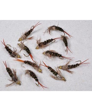 Region Fishing 20 Incher Stonefly Nymph Fly | Tungsten Bead | Mustad Signature Hooks | Size 14 - 12 Pack - Buy Online on GoSupps.com