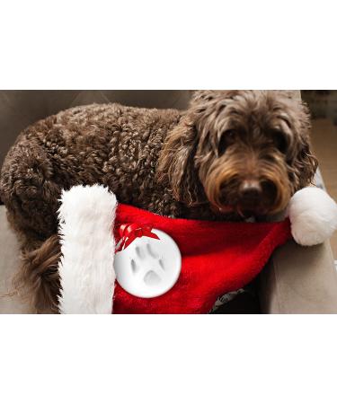 Pawprint DIY Clay Kit for Pet Keepsake Ornament - Dog/Cat Owner Holiday Decor - Buy Online on GoSupps.com