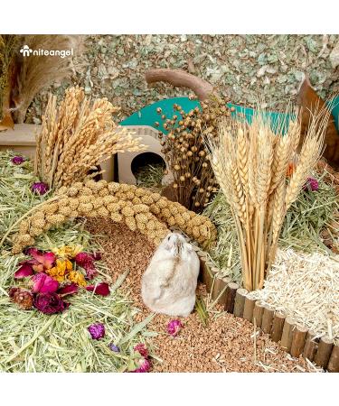 Niteangel Natural Harvest Wind Flower & Herb Hamster Bedding - Habitat Decor for Small Pets - Buy Online on GoSupps.com