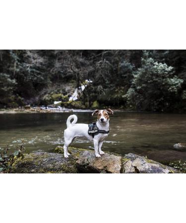 K9 Powerharness 3XS/Baby 1 - Camouflage Dog Harness for Optimal Comfort & Style | International Shipping Available - Buy Online on GoSupps.com