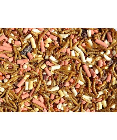 Supa Dried Mealworms Hi-Energy Suet Pellets & Fruit Mix - 1L Bucket | Protein-Rich Garden Bird Treat | Attract More Birds with Quality Wild Bird Food - Buy Online on GoSupps.com